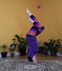 Citrini in Eagle Headstand